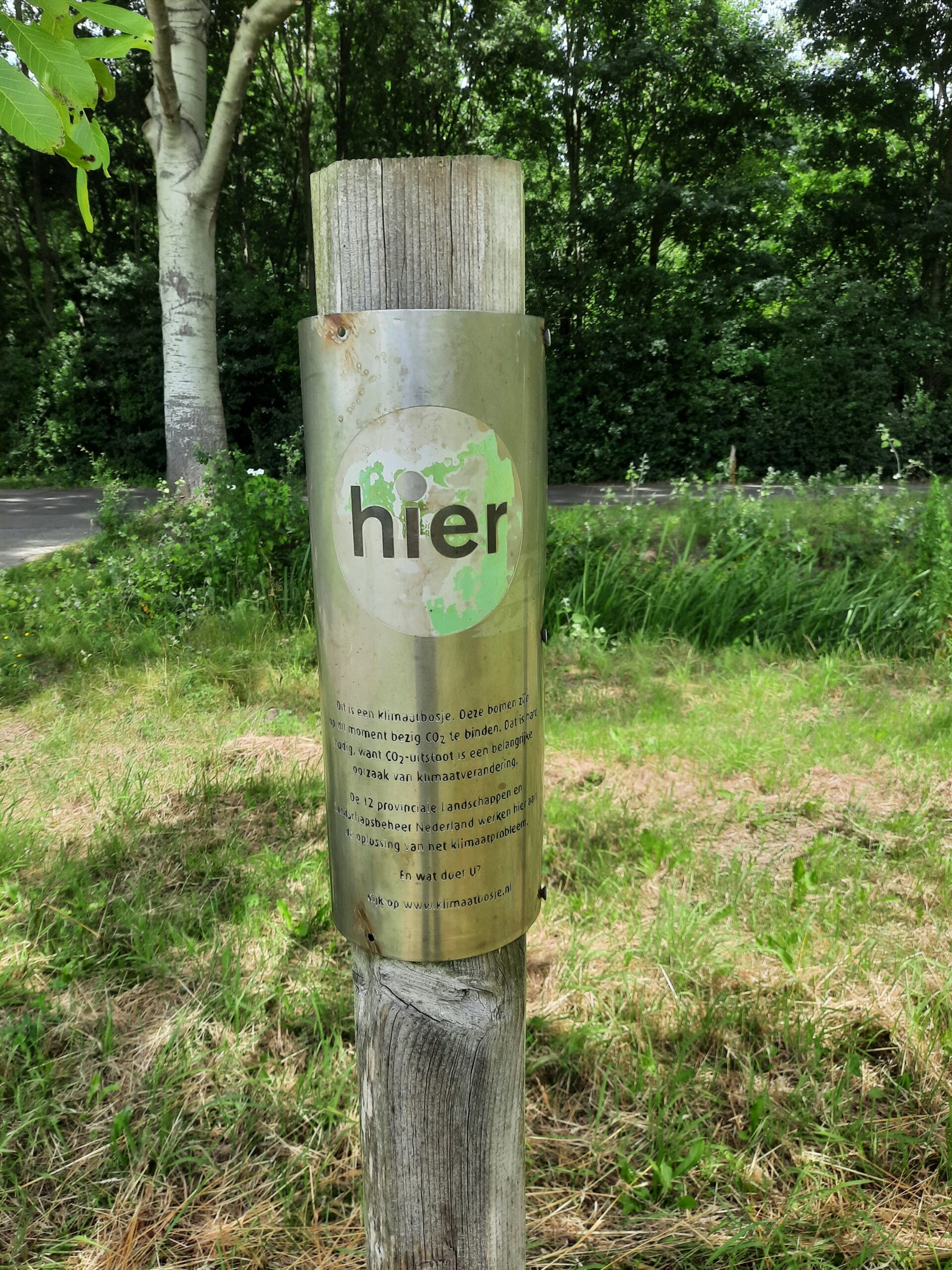 Bijzondere bomen in Oud Gastel