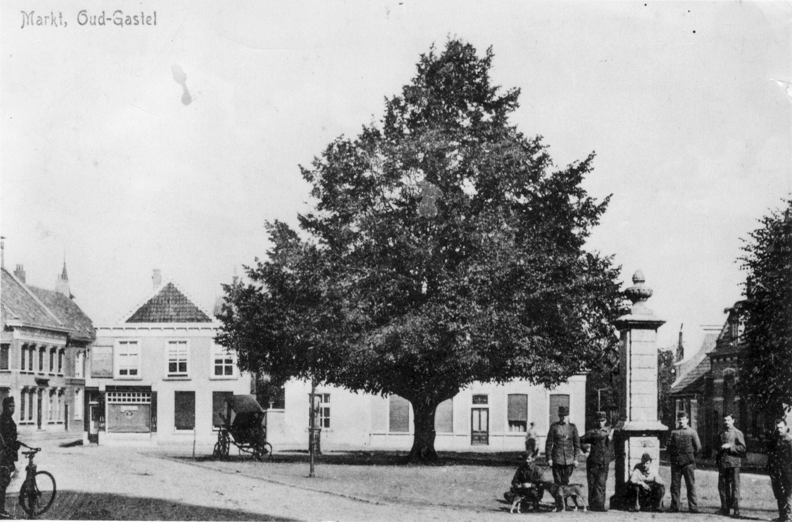 Bijzondere bomen in Oud Gastel